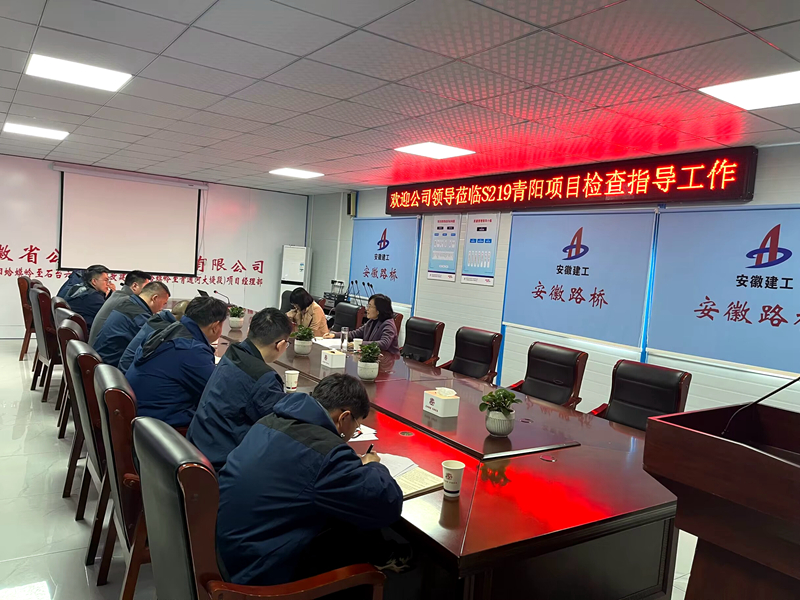 公司黨委委員、紀委書記王鵬到S219青陽改建項目調(diào)研指導工作